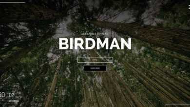 Photo of [Download-S2] Birdman - Themeforest Responsive Coming Soon Page