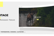 Photo of [Download-S2] Montage - Photography Responsive Template