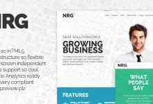 Photo of [Download-S2] NRG - Themeforest Responsive Landing Page