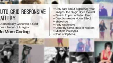 Photo of [Download-S1] Auto Grid Responsive Gallery