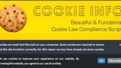 Photo of [Download-S1] CookieInfo.js - EU Cookie Law Compliance Script