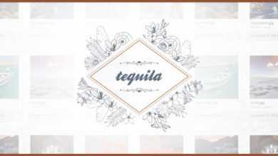Photo of [Download-S1] Tequila - File Hosting Script