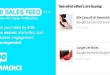 Photo of [Download-S1] Live Sales Feed for WooCommerce v1.5
