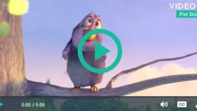 Photo of [Download-S1] Flat Skin Retina for VideoJS 4