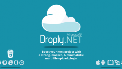 Photo of [Download-S1] Droply.net - minimalist responsive large digital file uploade