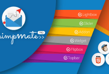 Photo of [Download-S1] ChimpMate Pro v1.23.2 - WordPress MailChimp Assistant