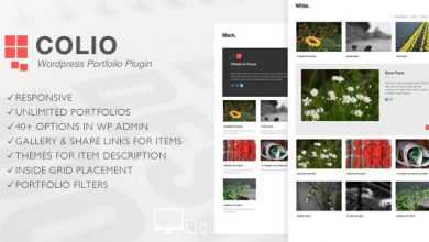 Photo of [Download-S1] Colio v2.3.2 - Responsive Portfolio Wordpress Plugin