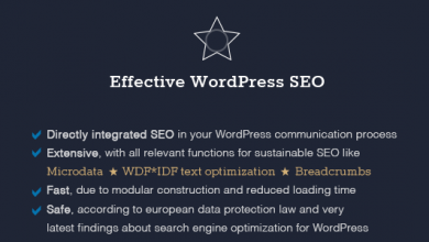 Photo of [Download-S1] DELUCKS SEO Plugin for Wordpress v1.5.