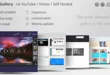 Photo of [Download-S1] Video Gallery Wordpress Plugin /w YouTube, Vimeo v9.69