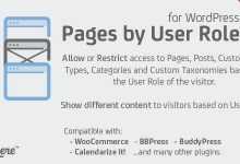 Photo of [Download-S1] Pages by User Role for WordPress v1.3.5