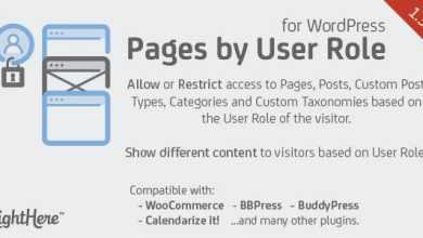 Photo of [Download-S1] Pages by User Role for WordPress v1.3.5