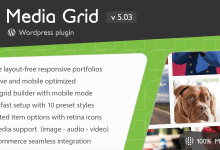 Photo of [Download-S1] Media Grid v5.03 - Wordpress Responsive Portfolio