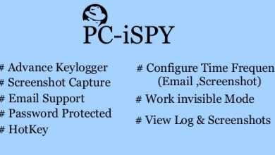 Photo of [Download-S1] PC-iSPY Software