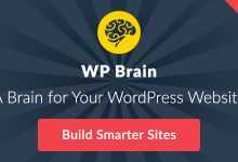 Photo of [Download-S1] WP Brain v1.3.3 - A Brain for Your WordPress WebSite