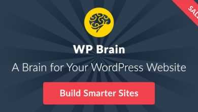 Photo of [Download-S1] WP Brain v1.3.3 - A Brain for Your WordPress WebSite