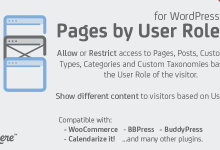 Photo of [Download-S1] Pages by User Role for WordPress v1.3.6
