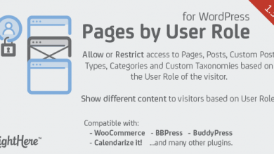 Photo of [Download-S1] Pages by User Role for WordPress v1.3.6