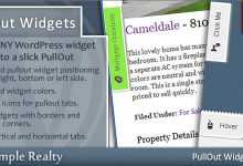 Photo of [Download-S1] PullOut Widgets for WordPress v2.9.4