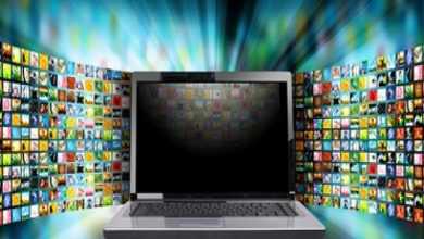 Photo of [Download-S1] LiveTV - Online Video Streaming CMS