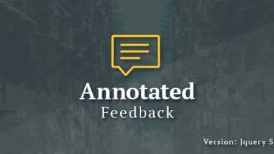 Photo of [Download-S1] Annotated Feedback