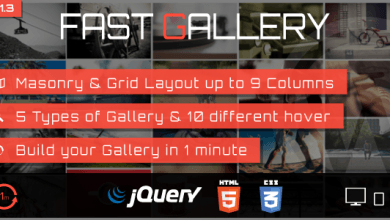 Photo of [Download-S1] Fast Gallery v1.3 - Premium Wordpress Plugin