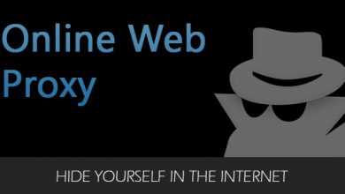 Photo of [Download-S1] Online Web Proxy