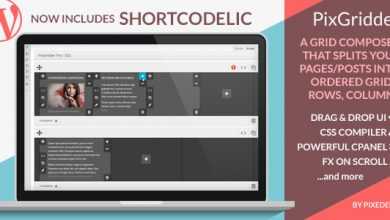 Photo of [Download-S1] PixGridder Pro v3.3.5 - Page Grid Composer for Wordpress