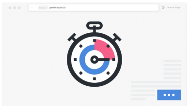 Photo of [Download-S1] Perfmatters v1.2.1 - Lightweight Performance Plugin