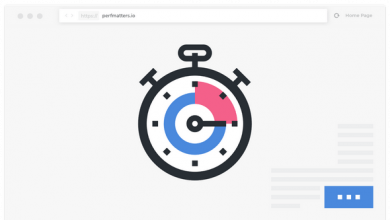 Photo of [Download-S1] Perfmatters v1.4.1 - Lightweight Performance Plugin