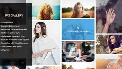 Photo of [Download-S1] FAT Image Gallery For Wordpress v1.23