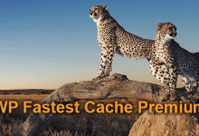 Photo of [Download-S1] WP Fastest Cache Premium v1.5.2