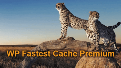 Photo of [Download-S1] WP Fastest Cache Premium v1.4.9