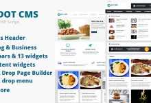 Photo of [Download-S1] DOT Micro CMS v1.0.1 - PHP Script