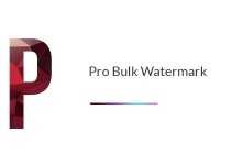 Photo of [Download-S1] Pro Bulk Watermark Plugin for WordPress v2.0