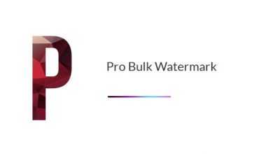 Photo of [Download-S1] Pro Bulk Watermark Plugin for WordPress v2.0