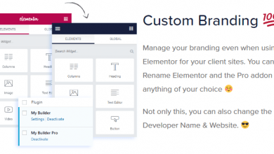 Photo of [Download-S1] White Label Branding for Elementor v1.0.2