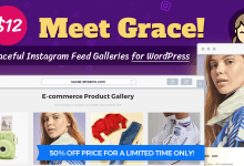 Photo of [Download-S1] Instagram Feed Gallery - Grace for WordPress v1.1.5