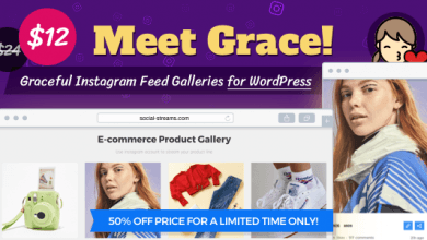 Photo of [Download-S1] Instagram Feed Gallery - Grace for WordPress v1.1.6