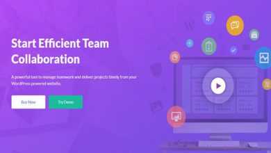 Photo of [Download-S1] WP Project Manager Pro v2.0.8