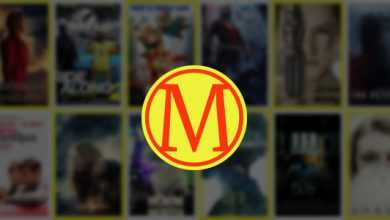 Photo of [Download-S1] Wordpress Movies Bulk Importer v1.0.1