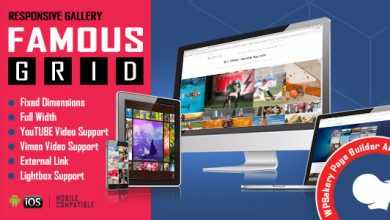 Photo of [Download-S1] Famous v1.0 - Responsive Image & Video Grid Gallery for VC