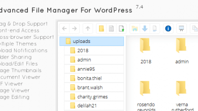 Photo of [Download-S1] File Manager Plugin For Wordpress v7.4.1