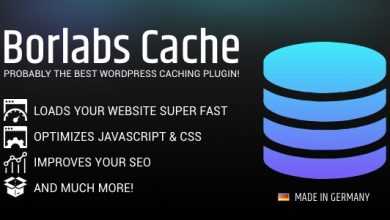 Photo of [Download-S1] Borlabs Cache v1.4 - WordPress Caching Plugin
