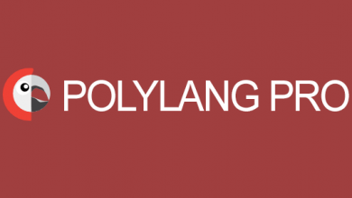Photo of [Download-S1] Polylang Pro v2.6.3 - Multilingual Plugin