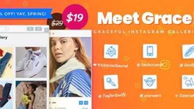 Photo of [Download-S1] Instagram Feed Gallery - Grace for WordPress v1.1.12