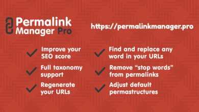 Photo of [Download-S1] Permalink Manager Pro v2.2.1.4 - WordPress Plugin