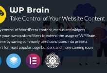 Photo of [Download-S1] WP Brain v1.3.4 - WordPress Logic Controller