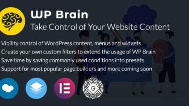 Photo of [Download-S1] WP Brain v1.3.6 - WordPress Logic Controller