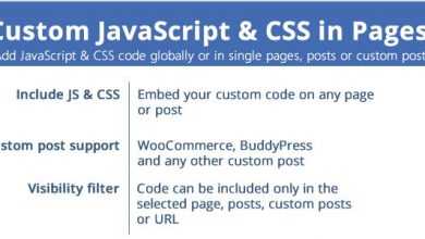 Photo of [Download-S1] Custom JavaScript & CSS in Pages v1.9