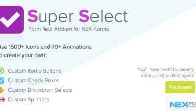 Photo of [Download-S1] Super Selection Form Field for NEX-Forms v7.5